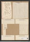 Diatomeae indet. (de-Toni-Nr.: Species 2969) Zeichnungen Sammlung Grunow Nr. 6062 (NHMW-BOT-W0374573)